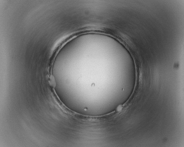 X0000113121164200909111132