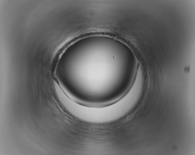 X0000113121165200909111132