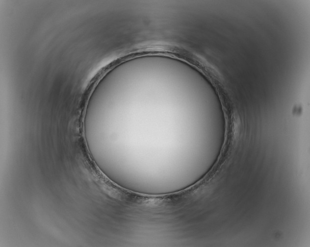 X0000113121166200909111132