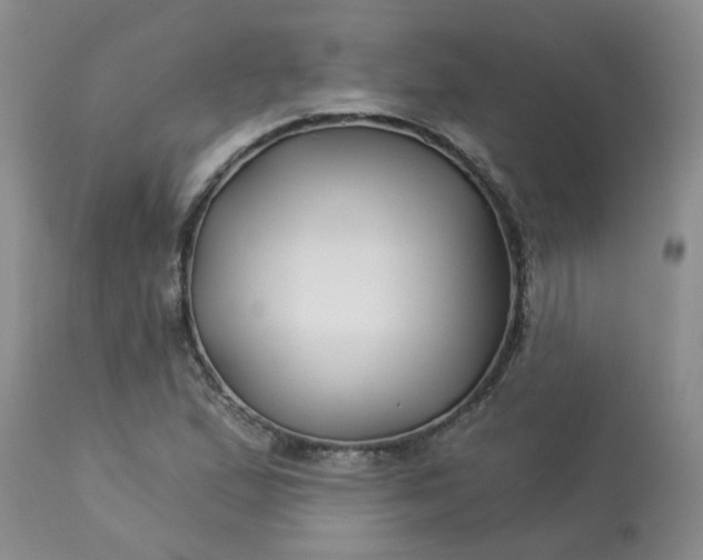 X0000113121167200909111132