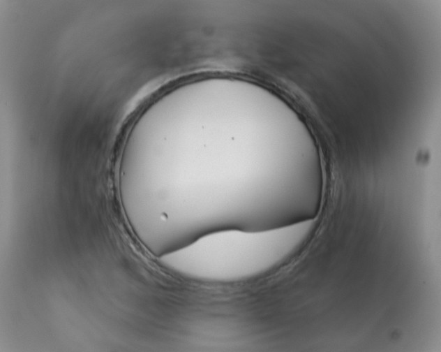 X0000113121168200909111132