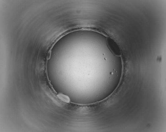 X0000113121169200909111132