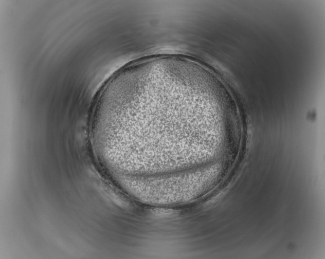 X0000113121170200909111132