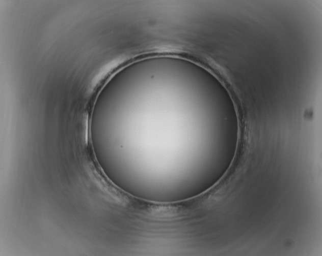 X0000113121171200909111132