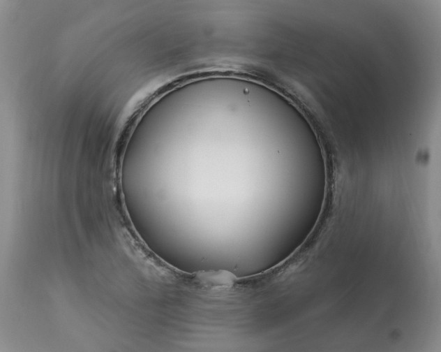 X0000113121172200909111132