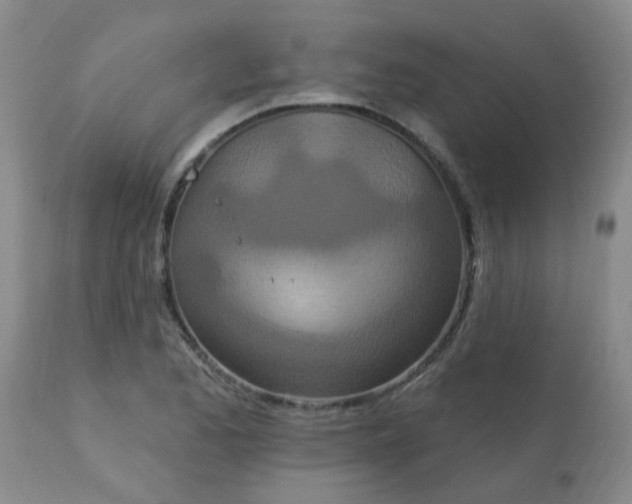 X0000113121173200909111132