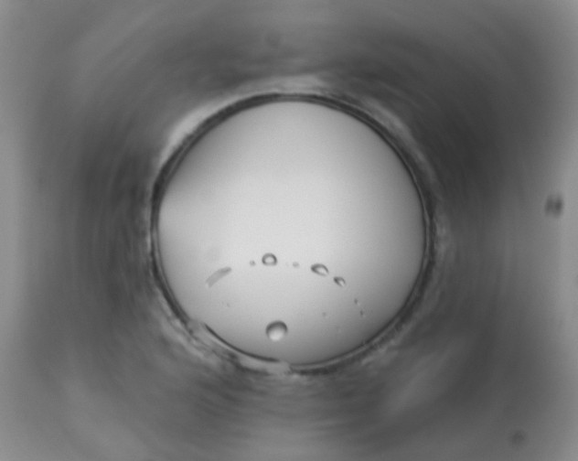 X0000113121176200909111132