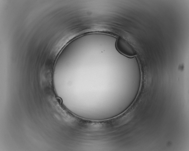 X0000113121177200909111132