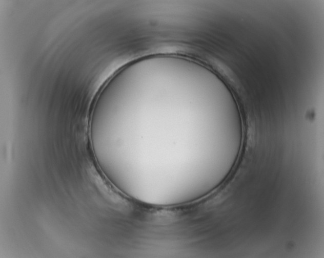 X0000113121178200909111132