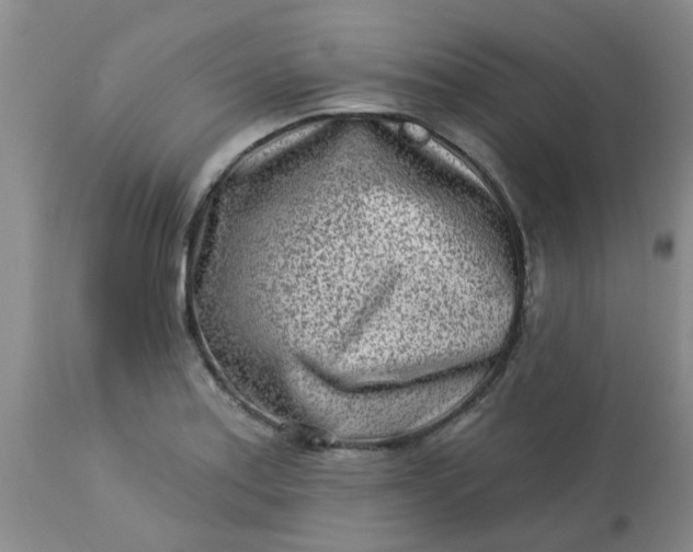 X0000113121179200909111132