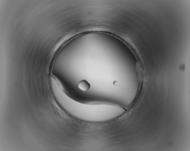 X0000113121181200909111132