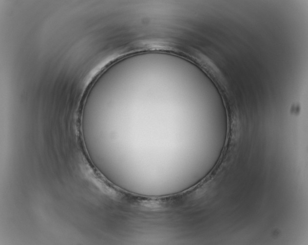 X0000113121182200909111132