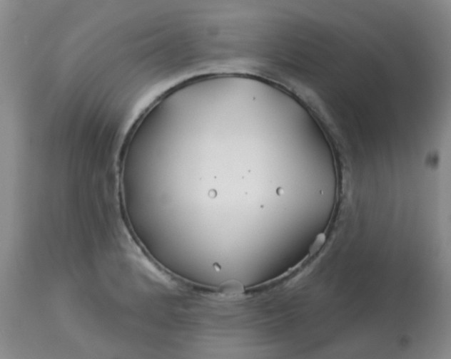 X0000113121184200909111132