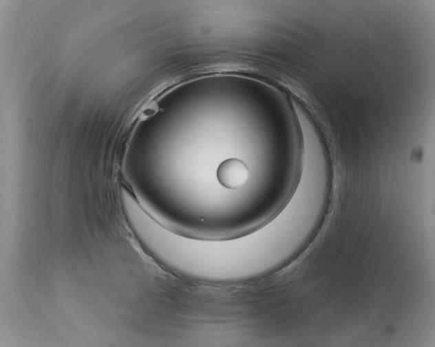 X0000113121185200909111132