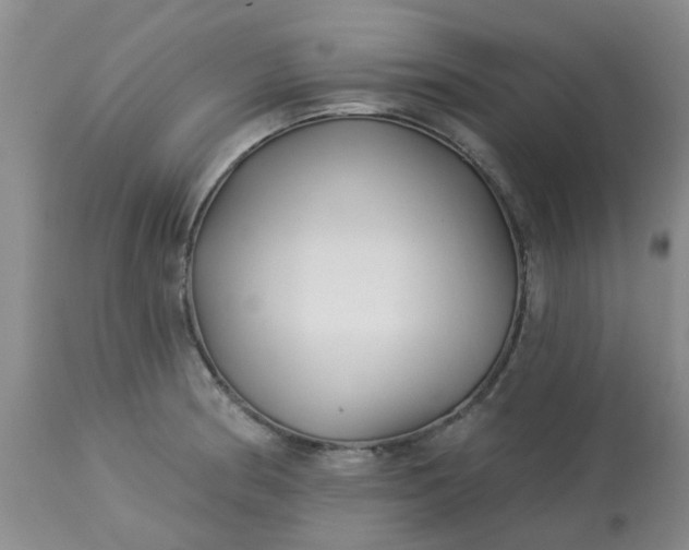 X0000113121186200909111132