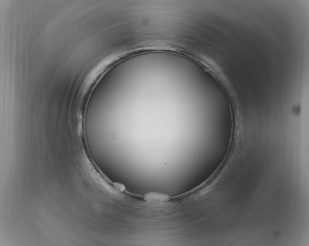 X0000113121188200909111132