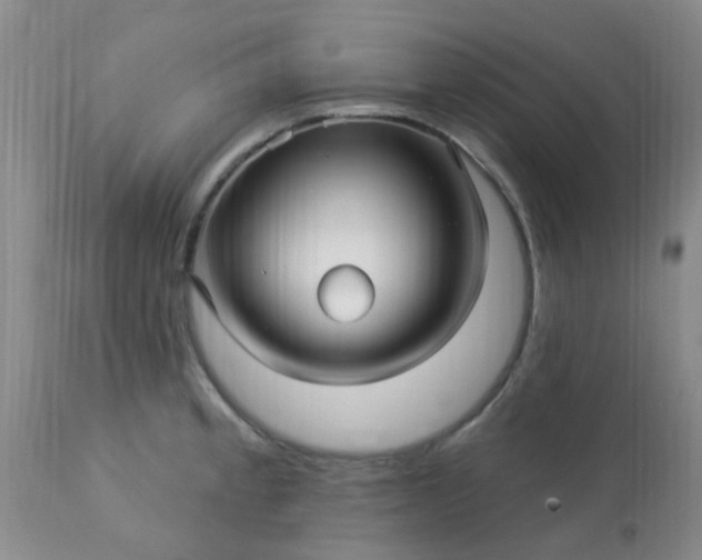 X0000113121189200909111132