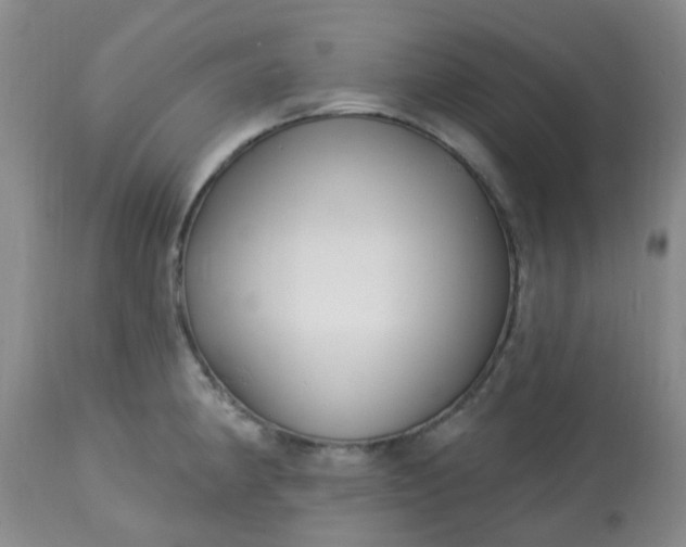 X0000113121190200909111132