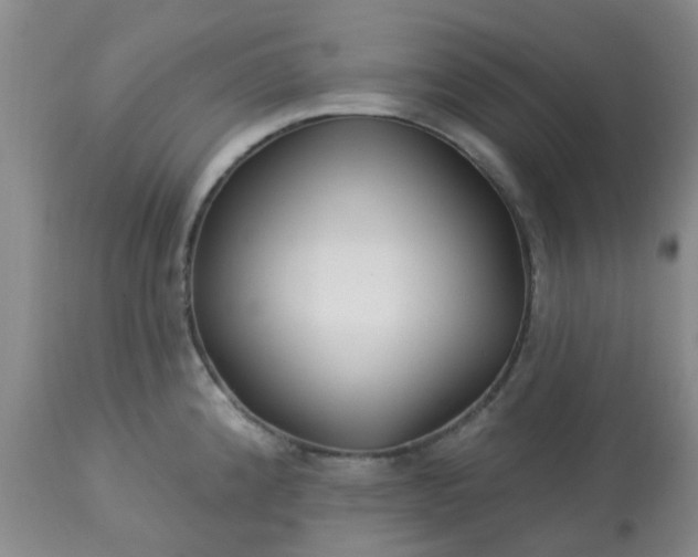 X0000113121192200909111132