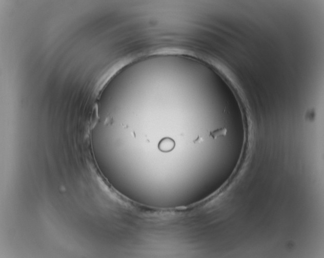 X0000113121193200909111132