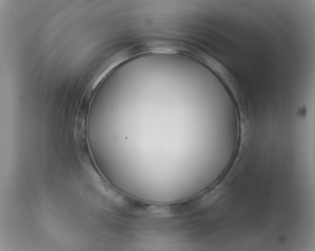 X0000113121194200909111132