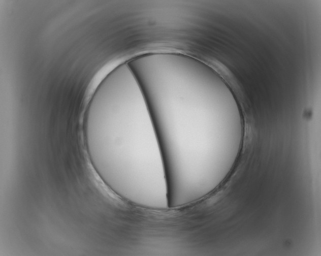 X0000113121196200909111132