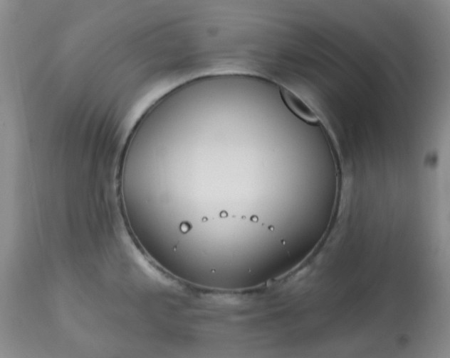 X0000113121197200909111132