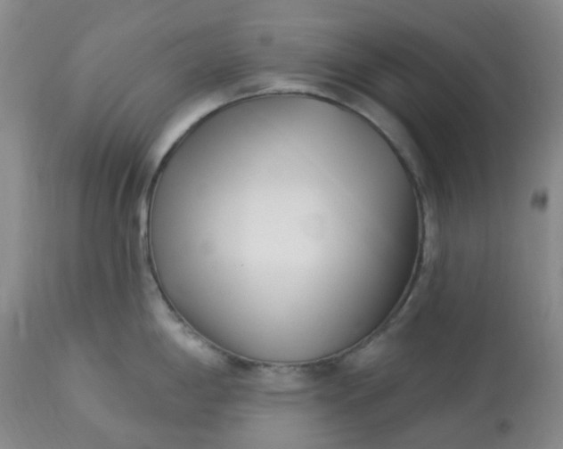 X0000113121198200909111132