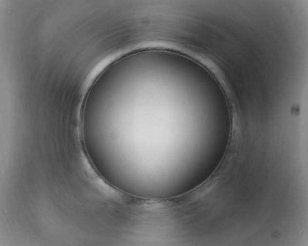 X0000113121199200909111132