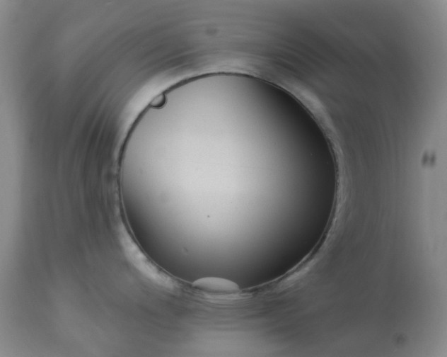 X0000113121200200909111132