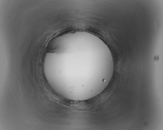 X0000113121201200909111131