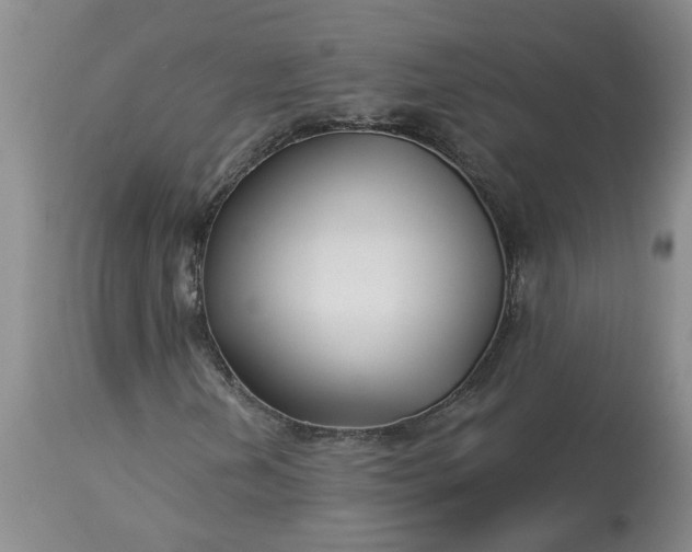 X0000113121202200909111131