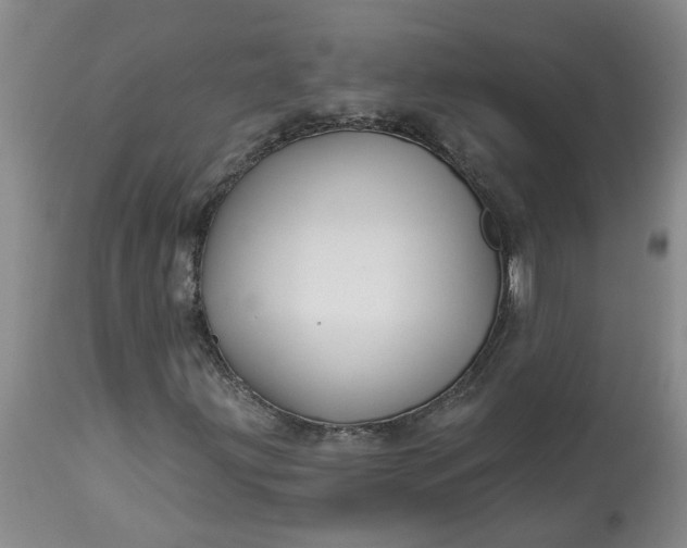 X0000113121203200909111131