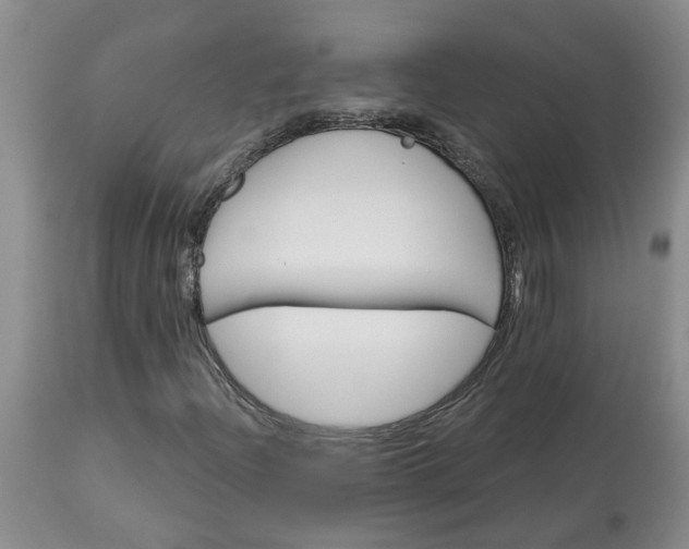 X0000113121204200909111131