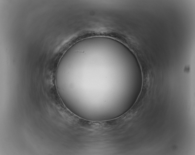 X0000113121205200909111131