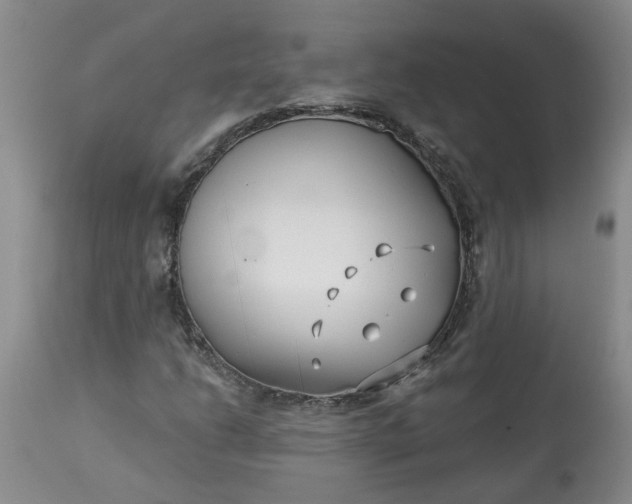 X0000113121206200909111131