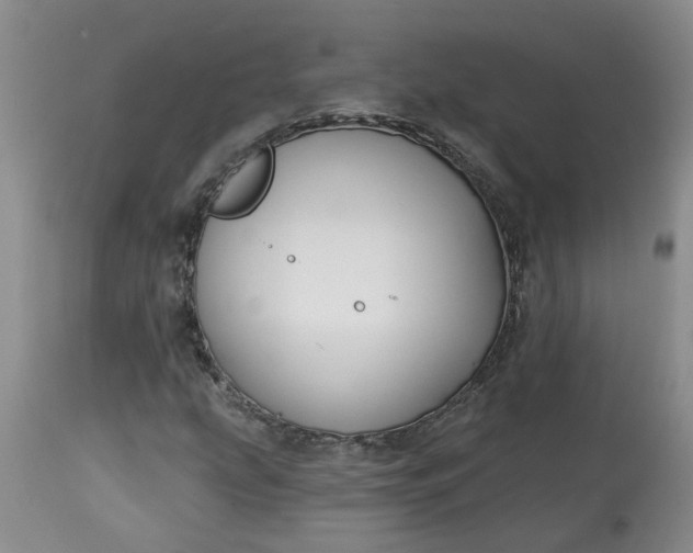 X0000113121207200909111131