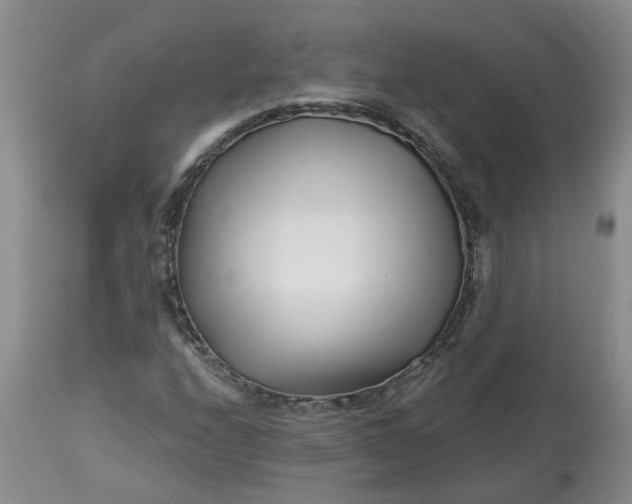 X0000113121208200909111131