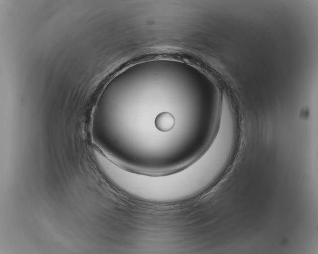 X0000113121209200909111131