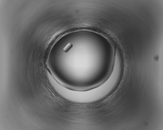 X0000113121210200909111131