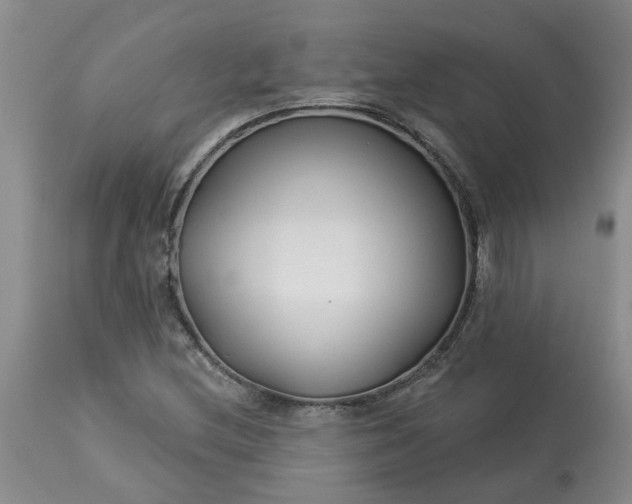 X0000113121212200909111131