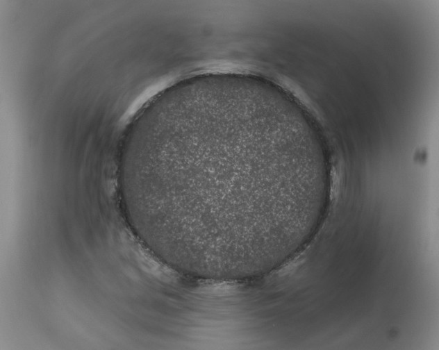 X0000113121213200909111131