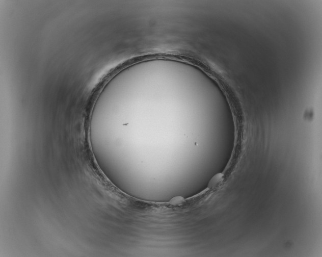 X0000113121214200909111131