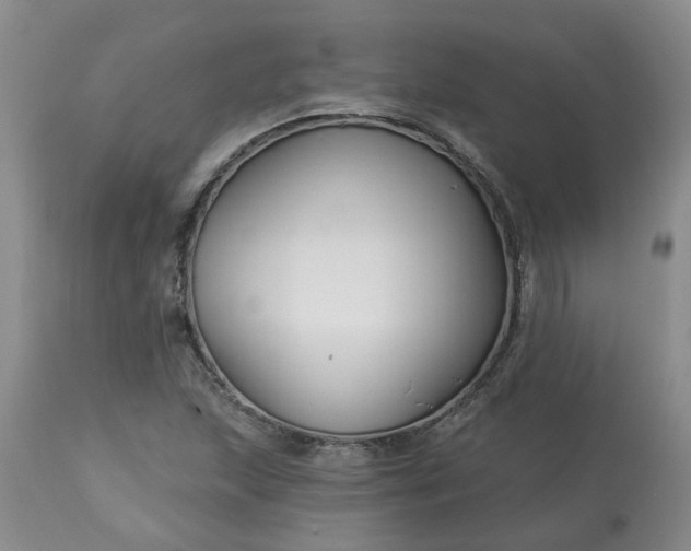 X0000113121215200909111131