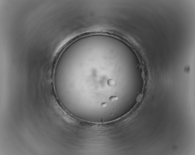 X0000113121216200909111131