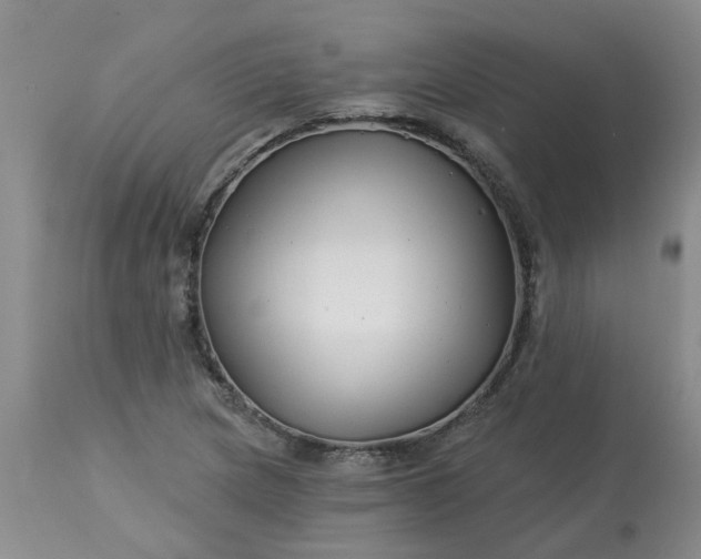 X0000113121217200909111131