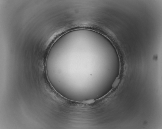 X0000113121218200909111131