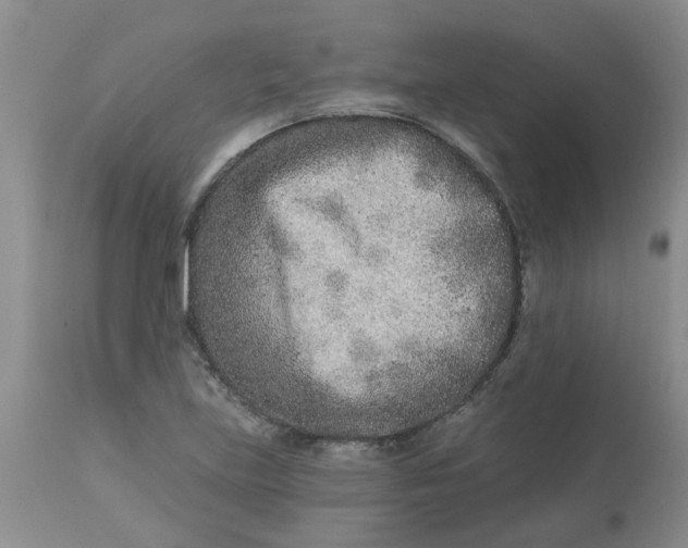 X0000113121219200909111131