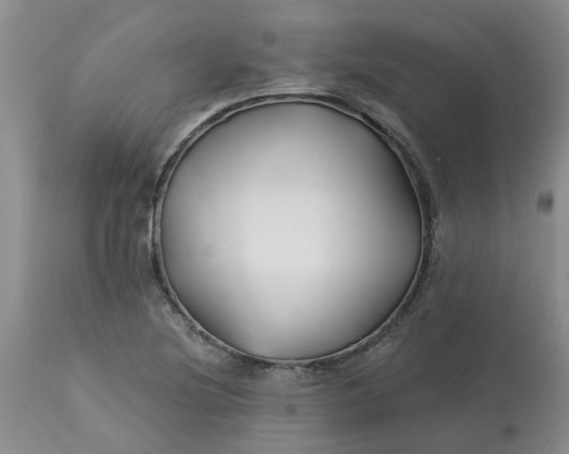 X0000113121220200909111131