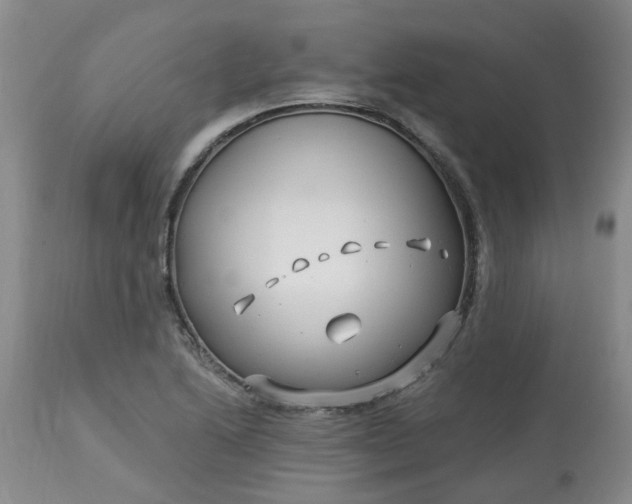 X0000113121222200909111131